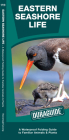 Eastern Seashore Life: A Waterproof Folding Guide to Familiar Animals & Plants (Duraguide) By James Kavanagh, Raymond Leung (Illustrator) Cover Image