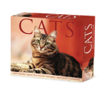Cats 2024 6.2 X 5.4 Box Calendar Cover Image