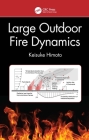 Large Outdoor Fire Dynamics By Keisuke Himoto Cover Image