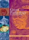Gross Pathology Handbook: A Guide to Descriptive Terms By Christopher Horn, Christopher Naugler Cover Image