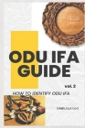 Odu Ifa Guide: How to Identify Odu Ifa By Damilola Ojo Cover Image