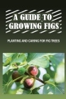 A Guide To Growing Figs: Planting And Caring For Fig Trees: Growing Fig Trees In Containers By Johnathan Linea Cover Image