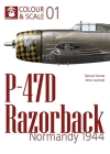 P-47d Razorback. Normandy 1944 Cover Image