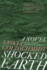 Shocked Earth By Saskia Goldschmidt, Antoinette Fawcett (Translator) Cover Image