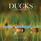 Ducks Calendar 2020: 16 Month Calendar By Golden Print Cover Image