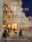 Why Old Places Matter: How Historic Places Affect Our Identity and Well-Being (American Association for State and Local History) Cover Image