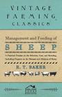 Management and Feeding of Sheep - A Practical Treatise on the Selection, Care, and Breeding, Including Chapters on the Diseases and Ailments of Sheep By E. T. Baker Cover Image