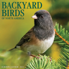 Backyard Birds 2023 Wall Calendar By Willow Creek Press Cover Image