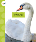 Swans (Spot Big Birds) By Lisa Amstutz Cover Image