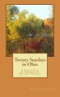 Twenty Sundays in Ohio By Richard B. Holmes Cover Image