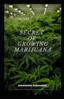 Secret of growing marijuana: The guide to cultivating indoor and outdoor cannabis By Solomon Richards Cover Image