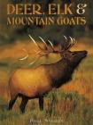 Deer, Elk & Mountain Goats (Animals in the Wild) By Paul Sterry Cover Image