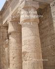 How To Read Egyptian Hieroglyphs: For High School Students In Grades 9 Through 12 Cover Image
