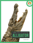 Alligator (Spotlight on Nature) By Melissa Gish Cover Image