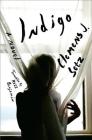 Indigo: A Novel By Clemens J. Setz, Ross Benjamin (Translated by) Cover Image