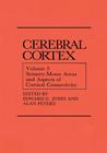 Sensory-Motor Areas and Aspects of Cortical Connectivity: Volume 5: Sensory-Motor Areas and Aspects of Cortical Connectivity (Cerebral Cortex #5) By Edward G. Jones (Editor), Alan Peters (Editor) Cover Image