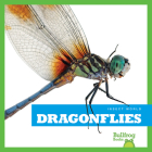 Dragonflies (Insect World) By Mari C. Schuh Cover Image