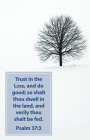 Trust Bulletin (Pkg 100) General Worship By Broadman Church Supplies Staff (Contribution by) Cover Image