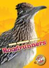 Roadrunners (North American Animals) By Christina Leighton Cover Image