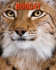 Bobcat: Fun Learning Facts About Bobcat By Trina Devlin Cover Image