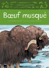 Boeuf Musqué By Allen Niptanatiak, Kagan McLeod Cover Image