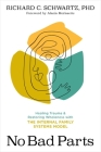 No Bad Parts: Healing Trauma and Restoring Wholeness with the Internal Family Systems Model By Richard Schwartz, Ph.D., Alanis Morissette (Introduction by) Cover Image
