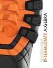 Intermediate Algebra (Explore Our New Mathematics 1st Editions) By Laura Bracken, Ed Miller Cover Image