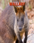 Wallaby: Fun Facts & Cool Pictures Cover Image