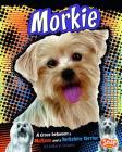 Morkie: A Cross Between a Maltese and a Yorkshire Terrier (Designer Dogs) By Tanya Dewey (Consultant), Heather E. Schwartz Cover Image