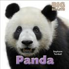 Panda (Big Beasts) By Stephanie Turnbull Cover Image