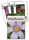 Wildflowers of the Southeast (Nature's Wild Cards) By Jaret C. Daniels Cover Image