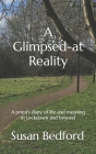 A Glimpsed-at Reality: A priest's diary of life and meaning in Lockdown and beyond By Tim Ellis (Foreword by), Susan Bedford Cover Image