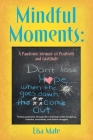Mindful Moments: A Pandemic Memoir of Positivity and Gratitude By Lisa Mate Cover Image