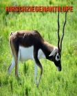 Hirschziegenantilope: Schöne Bilder & Kinderbuch mit interessanten Fakten über Hirschziegenantilope Cover Image