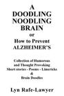 A Doodling Noodling Brain By Lyn Rafe-Lawyer Cover Image