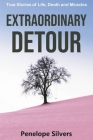 Extraordinary Detour: True Stories of Life, Death and Miracles By Penelope Silvers Cover Image