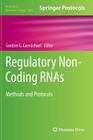 Regulatory Non-Coding Rnas: Methods and Protocols (Methods in Molecular Biology #1206) Cover Image