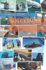 SOS Cetacea: (version française) By Caroline Legent Cover Image