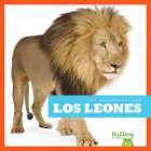 Los Leones (Lions) (Grandes Felinos (Big Cats)) By Marie Brandle Cover Image