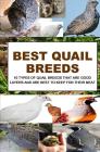 Best Quail Breeds: 10 Types Of Quail Breeds That Are Good Layers And Are Best To Keep For Their Meat By Francis Okumu Cover Image