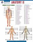 Anatomy II (Quick Access) By Editors of Rea Cover Image