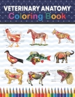 Veterinary Anatomy Coloring Book: Veterinary Anatomy Coloring & Activity Book for Kids. An Entertaining And Instructive Guide To Veterinary Anatomy. V By Sreijeylone Publication Cover Image