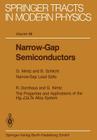 Narrow-Gap Semiconductors (Springer Tracts in Modern Physics #98) By R. Dornhaus (Other), G. Nimtz (Other), B. Schlicht (Other) Cover Image