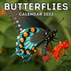 Butterflies Calendar 2022: 16-Month Calendar, Cute Gift Idea For Butterfly Lovers Women & Men Cover Image