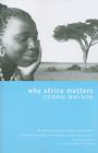 Why Africa Matters By Cedric Mayson Cover Image