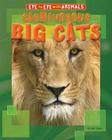 Carnivorous Big Cats (Eye to Eye with Animals) Cover Image