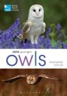 RSPB Spotlight Owls By Marianne Taylor Cover Image