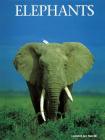 Elephants (Animals in the Wild) By Leonard Lee Rue III Cover Image