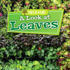 A Look at Leaves (Parts of a Plant) By Lindsey Lowe Cover Image