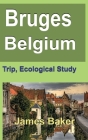 Bruges, Belgium: Trip, Ecological Study By James Baker Cover Image